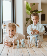 Toys Bamboom