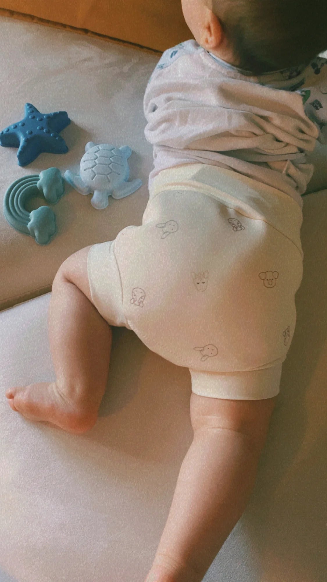 Costume pannolino contenitivo UV50+ in Neoprene- Bimbo - ANIMAL FRIENDS 236