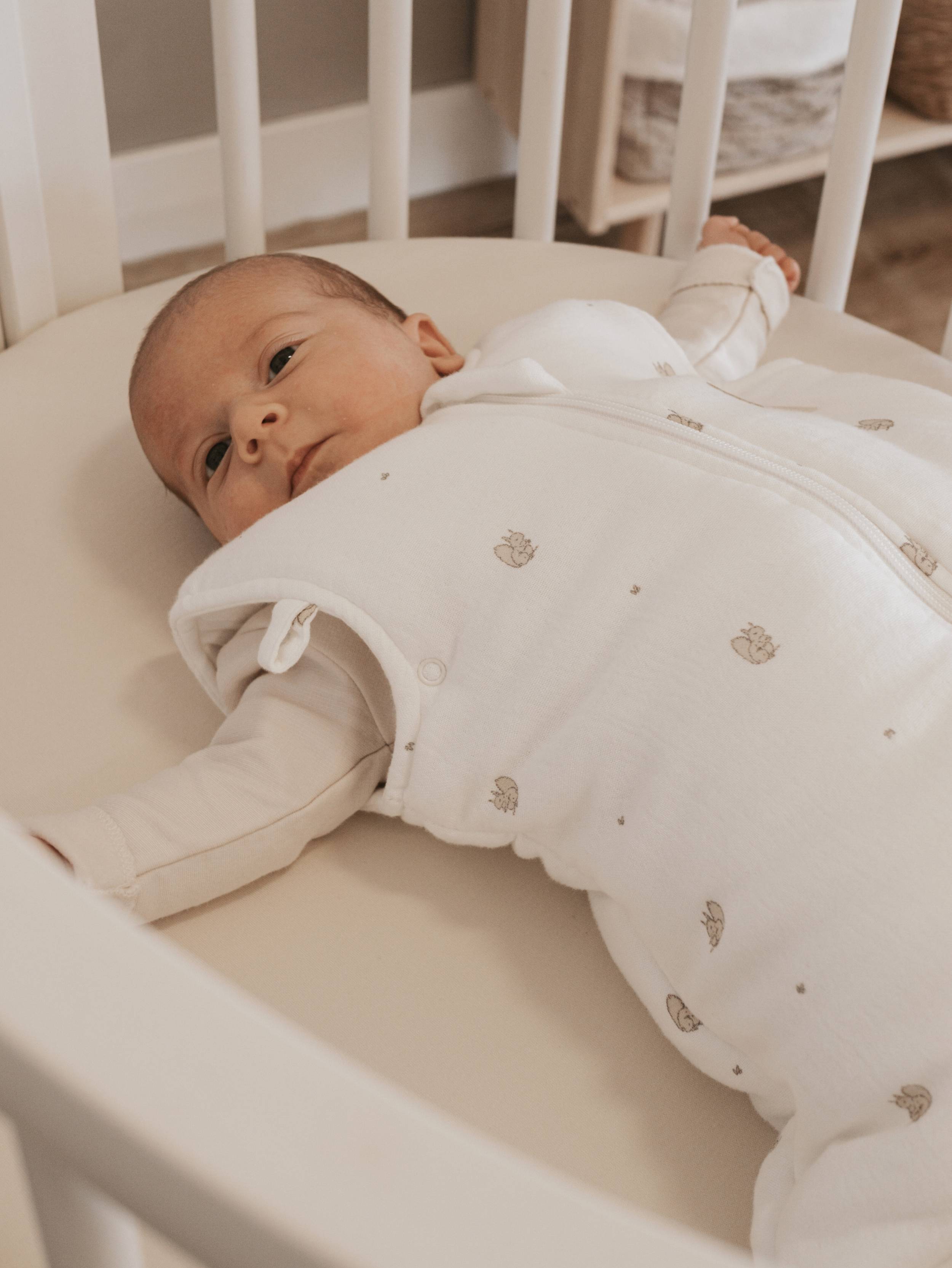 Baby-Schlafsack 0-6 Monate Tog 2.2 – PRINT SQUIRREL 344