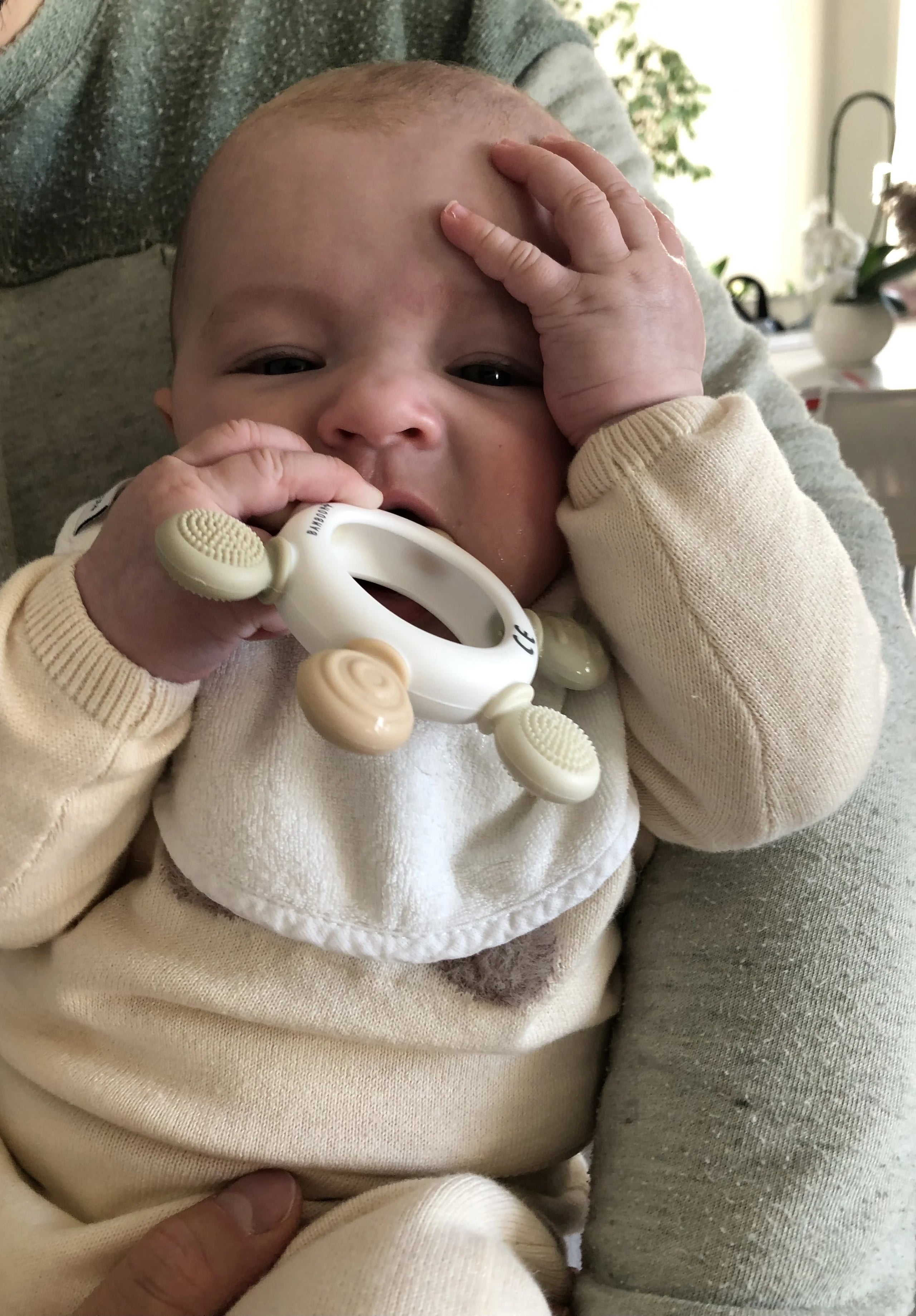 Massaggiagengive legno & silicone Timone - PANNA 02