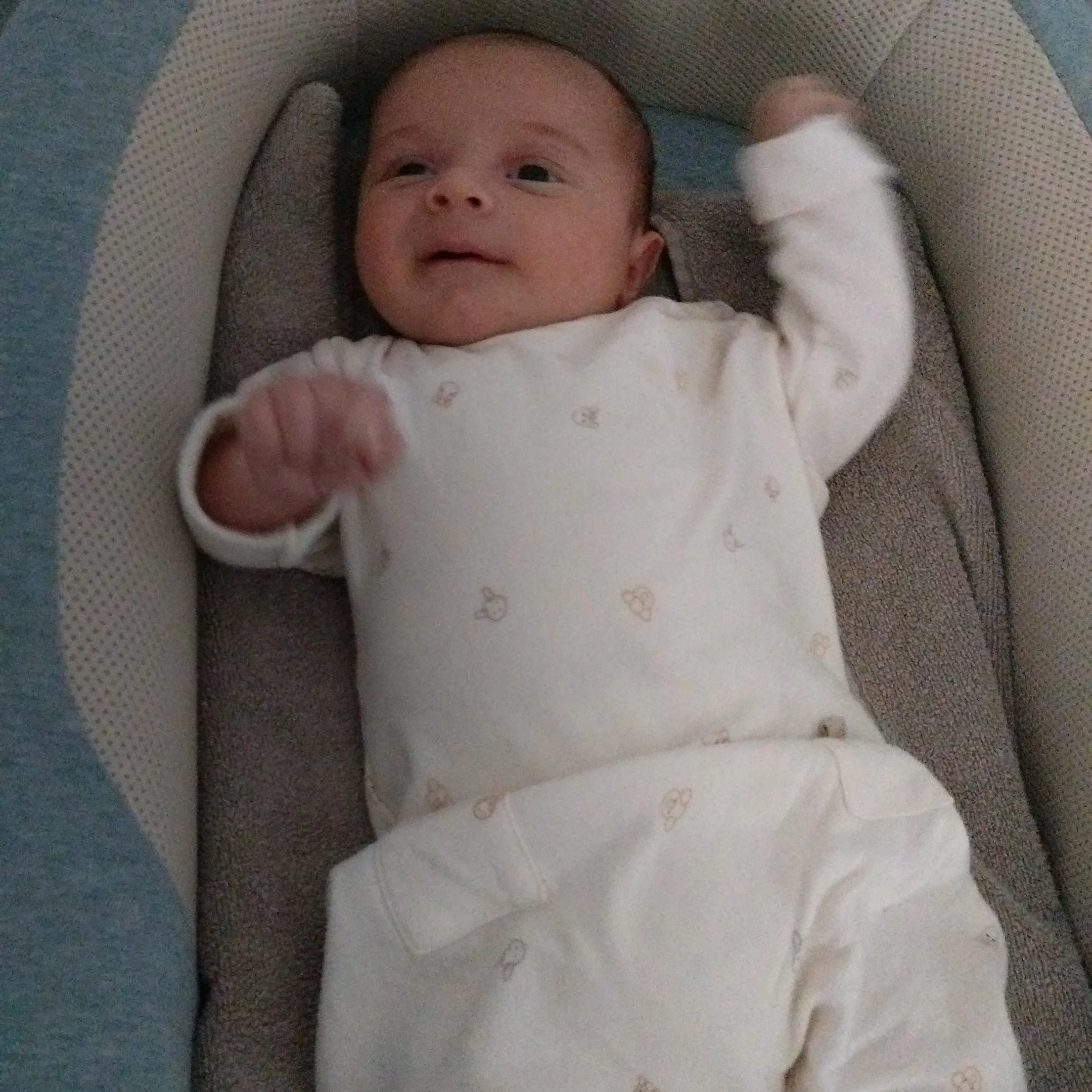 Strampler Rein - ANIMAL FRIENDS 236